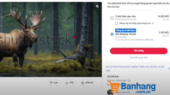 pmdn.vn - Shutterstock